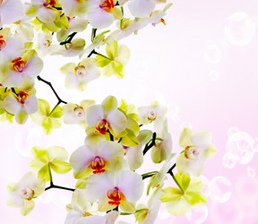 Similar image 8454103