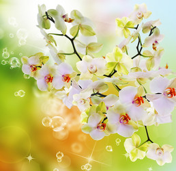 Similar image 8454130