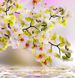 Similar image 8454164