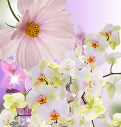 Similar image 8454234