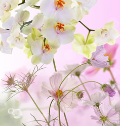 Similar image 8454235