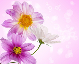 Similar image 8454256