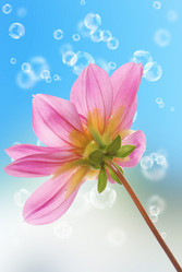 Similar image 8454257