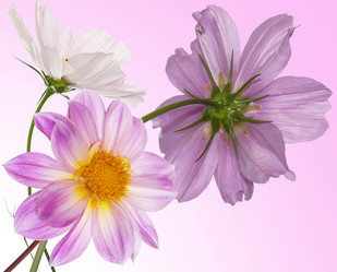 Similar image 8454262