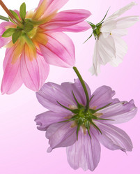 Similar image 8454263