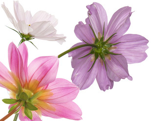 Similar image 8454264