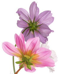 Similar image 8454265