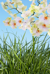 Similar image 8454286