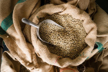 Similar image 8454565