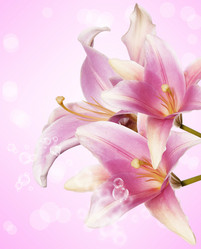 Similar image 8454713