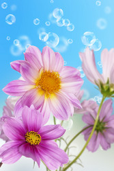 Similar image 8454714