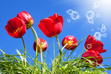 Similar image 8454719