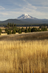 Similar image 8454743