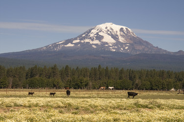 Similar image 8454751