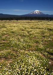 Similar image 8454752