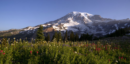 Similar image 8454824