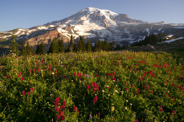 Similar image 8454827