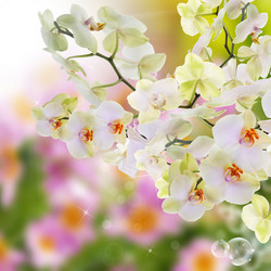 Similar image 8454889