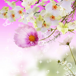 Similar image 8454891