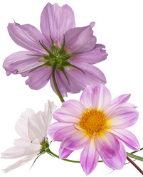 Similar image 8454954