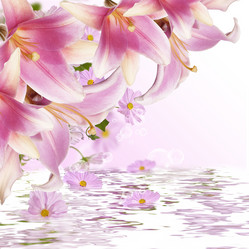 Similar image 8454962