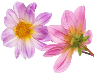 Similar image 8454963