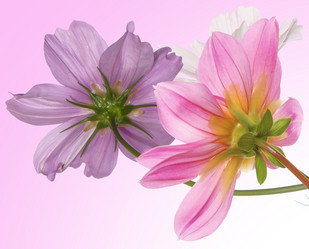 Similar image 8454966