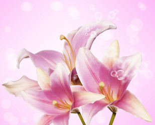 Similar image 8454968