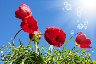 Similar image 8454971