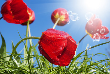 Similar image 8454973