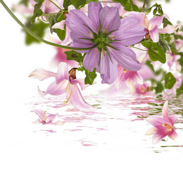 Similar image 8454975