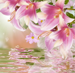 Similar image 8454978