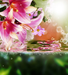 Similar image 8454980