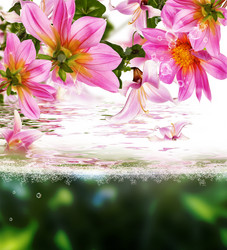 Similar image 8454982