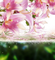 Similar image 8454998