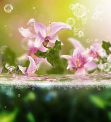 Similar image 8454999