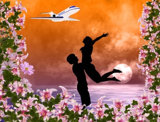 Similar image 8455006