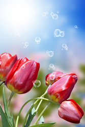 Similar image 8455020