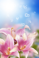 Similar image 8455021