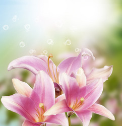 Similar image 8455022