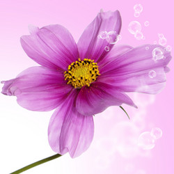 Similar image 8455024