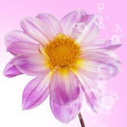 Similar image 8455026