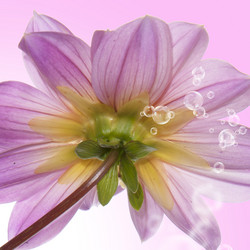 Similar image 8455027