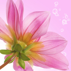 Similar image 8455028