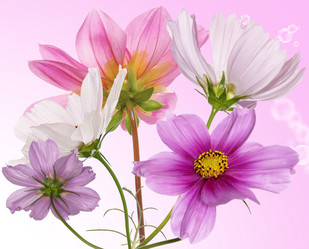 Similar image 8455029