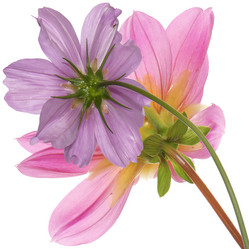 Similar image 8455030