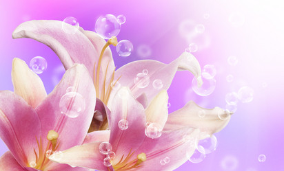 Similar image 8455031