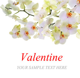 Similar image 8455204