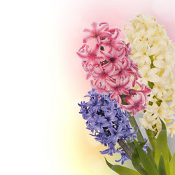 Similar image 8455223