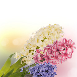 Similar image 8455224